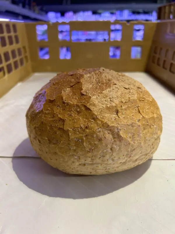 Klein rond grof brood