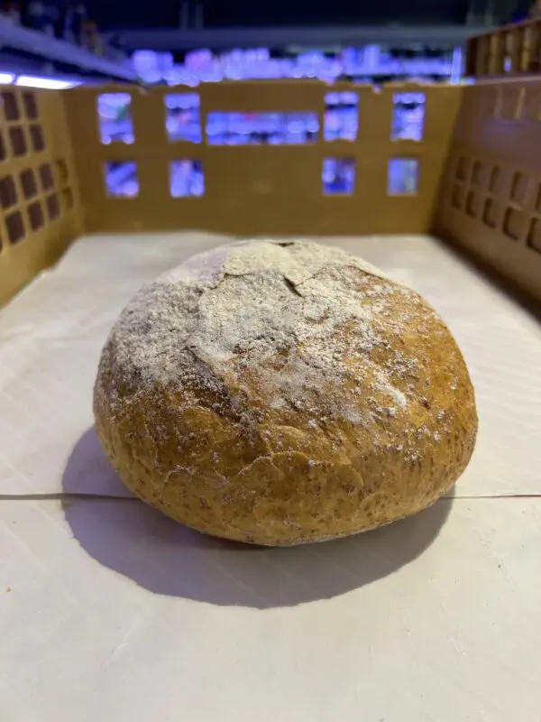 Klein rond boerengrof brood