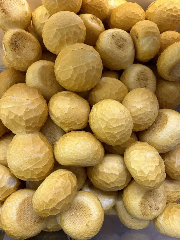 Pistolets wit