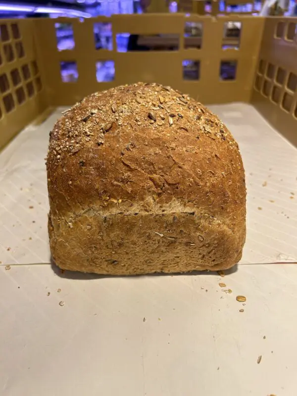 Fitbrood